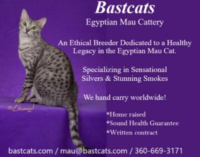 Bastcats Egyptian Maus